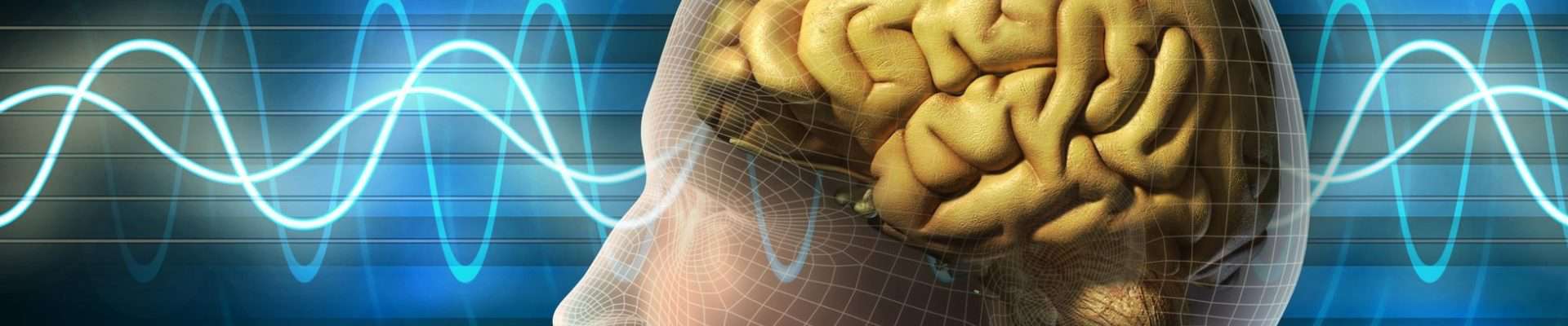 Profile image of the brain and sleep cycle waves in the background.